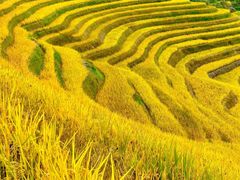 -龙脊梯田风景名胜区游客中心-停车场