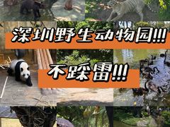 -深圳野生动物园