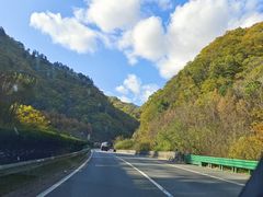 -秦岭服务区餐厅(京昆高速店)