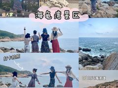 -广东惠东海龟国家级自然保护区
