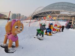 -沈阳奥体冰雪嘉年华