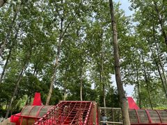 -合肥滨湖国家森林公园