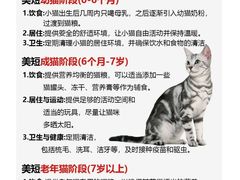 -申普宠物医院(总院)