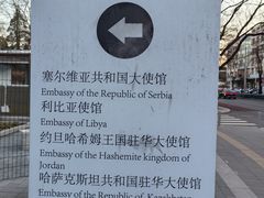 -三里屯东五街银杏大道