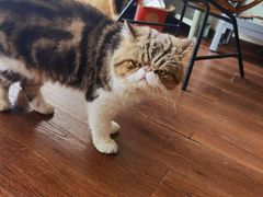 -参差咖啡(水果湖公园店)