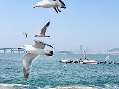 -大连海昌东方水城