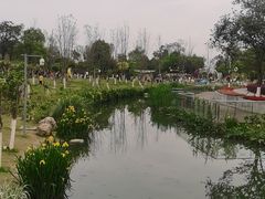-天府芙蓉园
