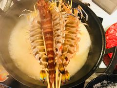 -鲜入围煮花胶鸡海鲜火锅