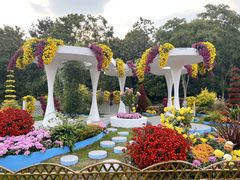 -上海共青森林公园