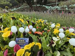 -龙环葡韵住宅式博物馆