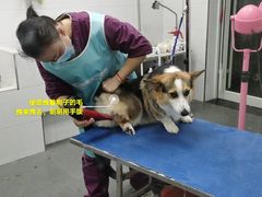 -宠颐生宠物医院(·宠保定点·鹰潭分院)