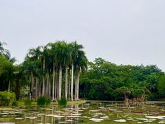 -中国科学院西双版纳热带植物园