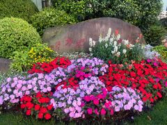 -浙江西子宾馆·瑶园咖啡厅