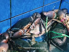 螃蟹-量贩海鲜餐厅