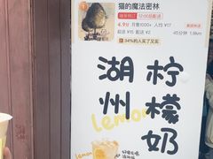 -猫的魔法密林(衣裳街店)