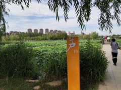 -前关湿地公园