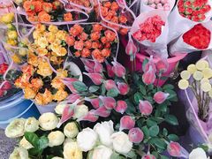 -桂林市花鸟市场