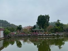 -大屏嶂森林公园