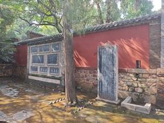 -泰山风景名胜区-普照寺