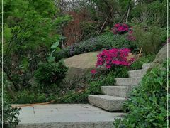 -乌山风景区