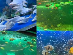 -大明湖海底世界