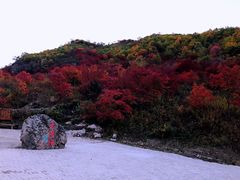 -龙道沟景区