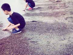 -台场海滨公园船码头