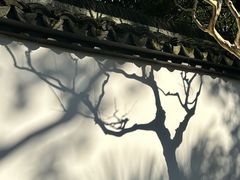 -上海醉白池公园
