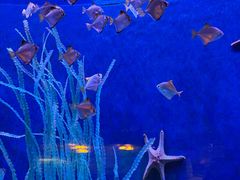 -沈阳海洋探索中心