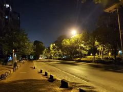 -新江湾城公园