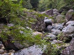 -石台牯牛降景区