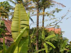 -西双版纳融创皇冠假日度假酒店