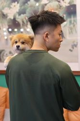 -鸿運 BARBER SHOP男士理发馆