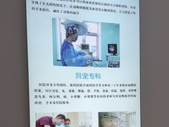 -北京观赏动物医院·24小时大型综合·猫专科·异宠专科
