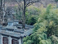 -老张烤羊(王哥庄店)