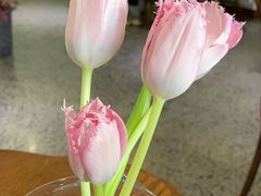 -侘寂甜品(自取店)