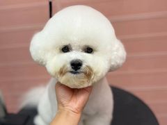 -FAELING PETS美天灵宠物(合生汇店)