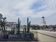 -polonio