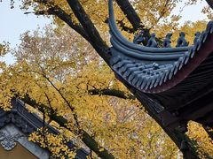 -灵谷景区