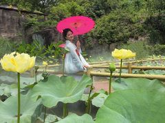 -广州莲花山旅游区