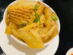 -食为先(Shark Fin)