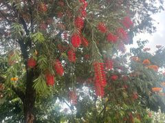 -白云山索道-售票处