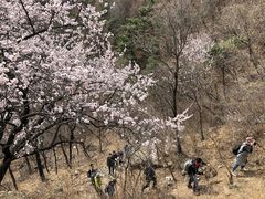 -阳台山自然风景区