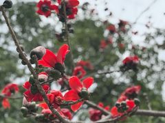 -东风公园