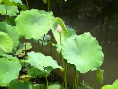 -成都杜甫草堂博物馆