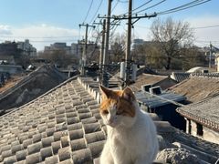 -前叁門