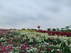 -歌斐颂巧克力小镇