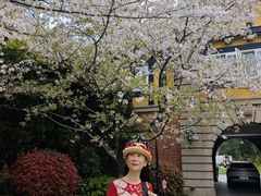 -上海瑞金洲际酒店