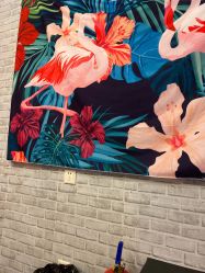 点击看大图 -doladola(徐家汇店)