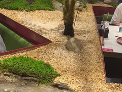 -九鼎轩火锅大排挡